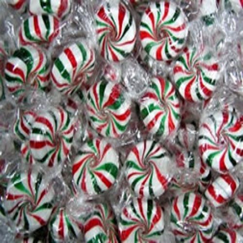 Primrose Holiday Starlights