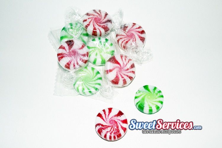 Primrose Holiday Starlights 