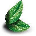 Wholesale Mint Candy