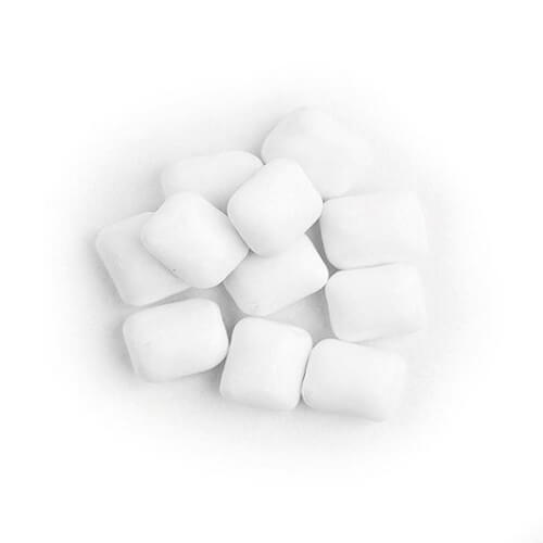 Sugar Free Mini Mini Peppermint Chicles