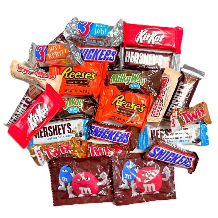Fun Size Chocolate Mix 300 Count